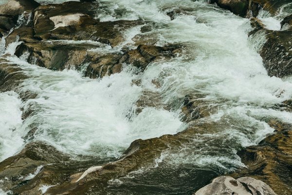 Où pratiquer le snorkeling au milieu des raies manta à Hawaii ?