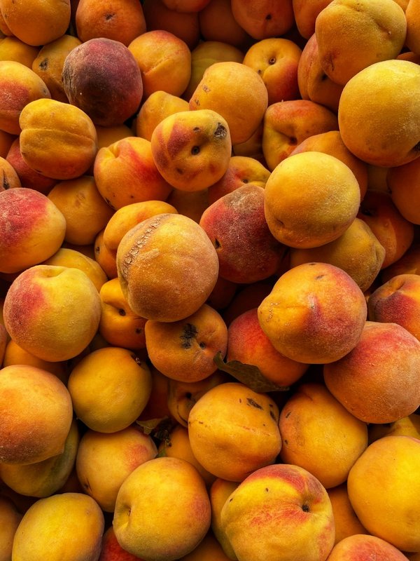 Quels sont les meilleurs endroits pour une expérience de pêche sur les lacs gelés en Finlande?